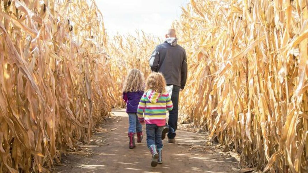 source:247moms - Divertimento Autunnale Economico: Idee per la Famiglia