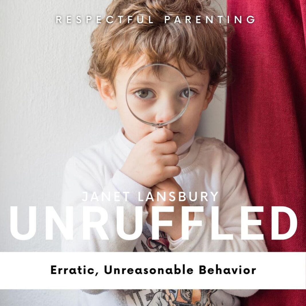 source:janetlansbury - Comportamenti Erratici e Irrazionali nei Bambini: Come Affrontarli