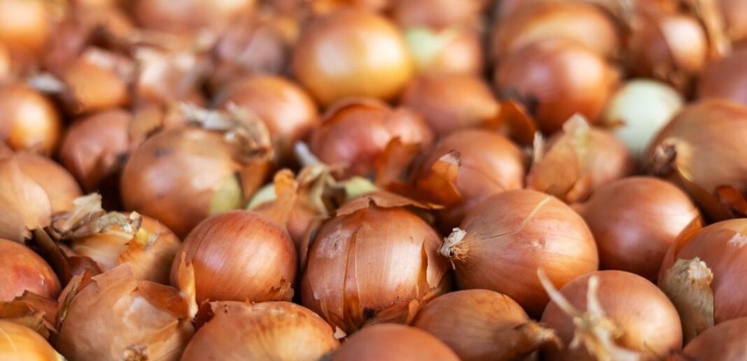 Tutti i benefici delle cipolle Cipolla: proprietà, benefici e valori nutrizionali
