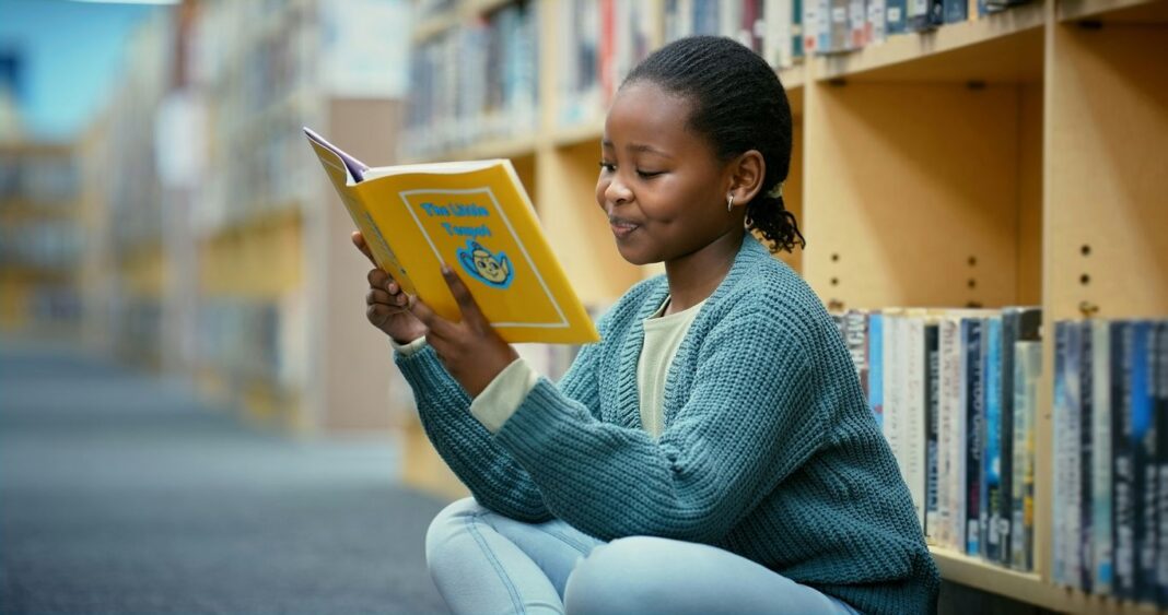 Leggi simili e sfide legali Leggi sui libri nelle biblioteche scolastiche: il caso del Texas