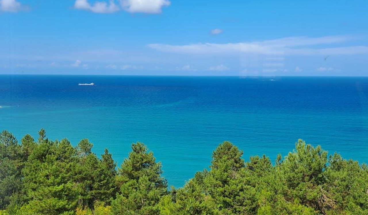 Source: Berrin Büşra Bayazıt - pexels - Vast ocean view with ship on the horizon and lush green forest in the foreground.