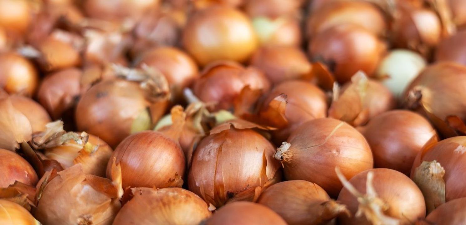 Valori nutrizionali della cipolla - Cipolla