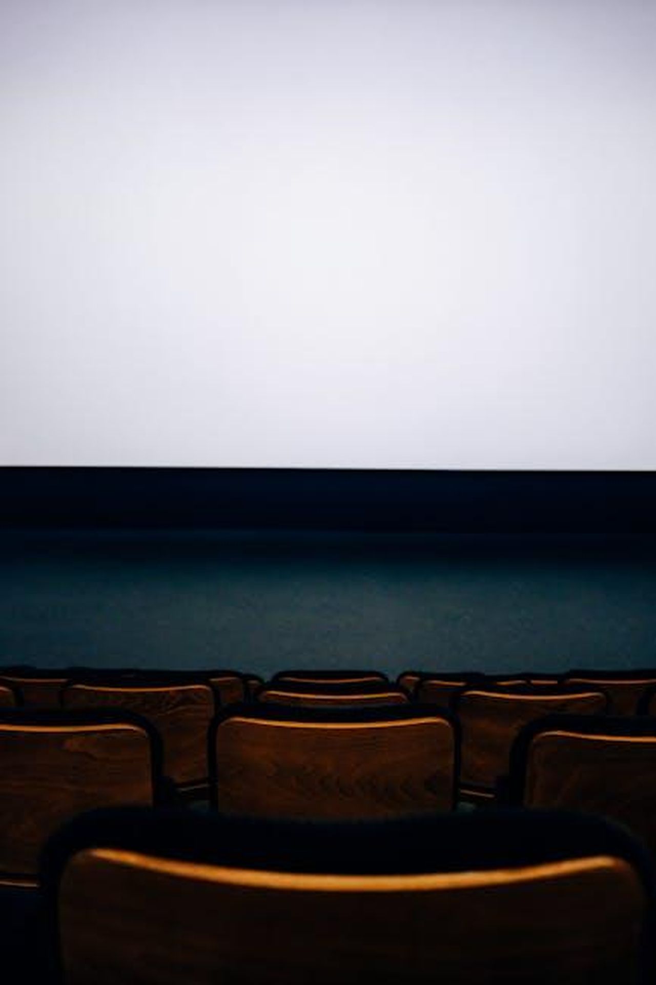 Source: Adrien Olichon - pexels - A modern, empty cinema auditorium with rows of wooden seats and a large blank screen.
