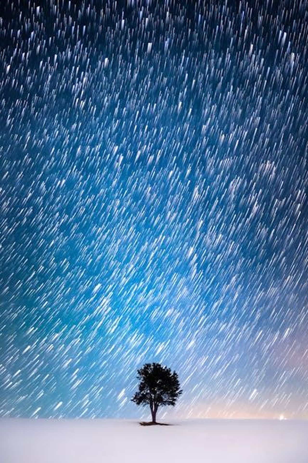 Source: Marek Piwnicki - pexels - A solitary tree stands against a backdrop of a starry sky with mesmerizing star trails.