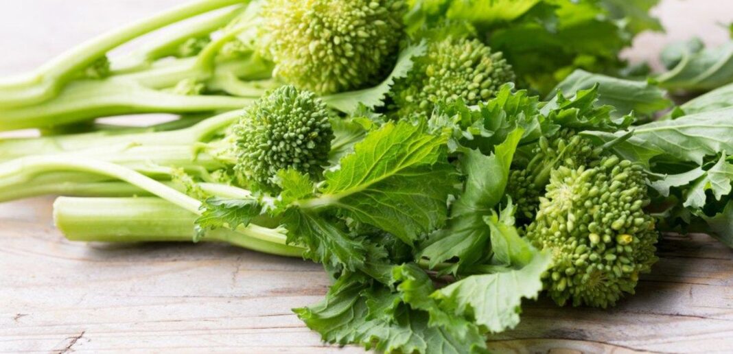 Come cucinare le cime di rapa Cime di rapa: benefici, valori nutrizionali e idee per cucinarle
