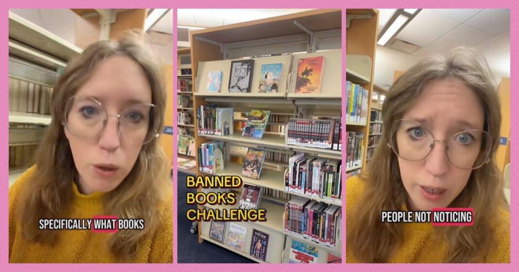 Statistiche sui divieti di libri nel 2023 Come funzionano i divieti di libri: l'analisi di SadBeige