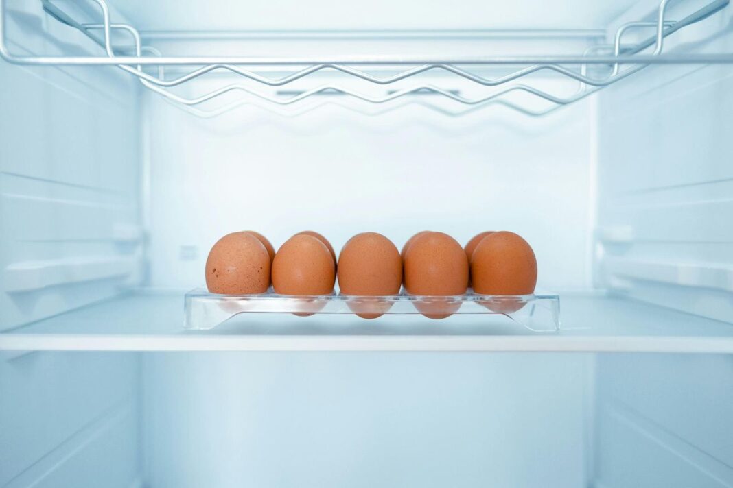 Quali sono i prossimi passi? Congelamento delle uova: tutto quello che devi sapere