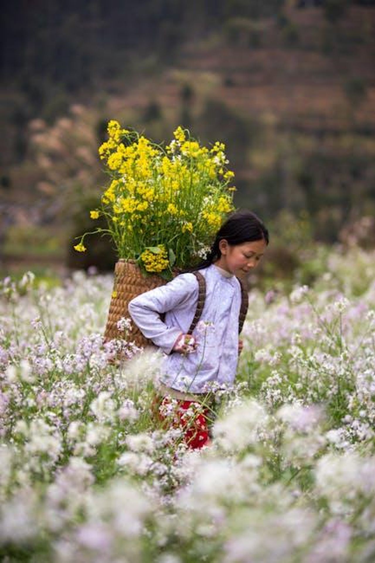 Source: Precious Memories Vietnam - pexels - Young girl carries yellow flowers in a Hà Giang field, Vietnam.