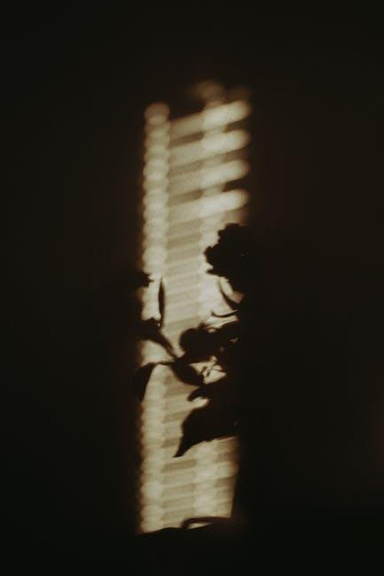 Source: Lisa from Pexels - pexels - Shadow of a plant creates a dramatic silhouette against softly lit window blinds.