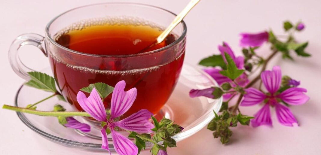 Malva e alimentazione La malva: proprietà, benefici e usi comuni
