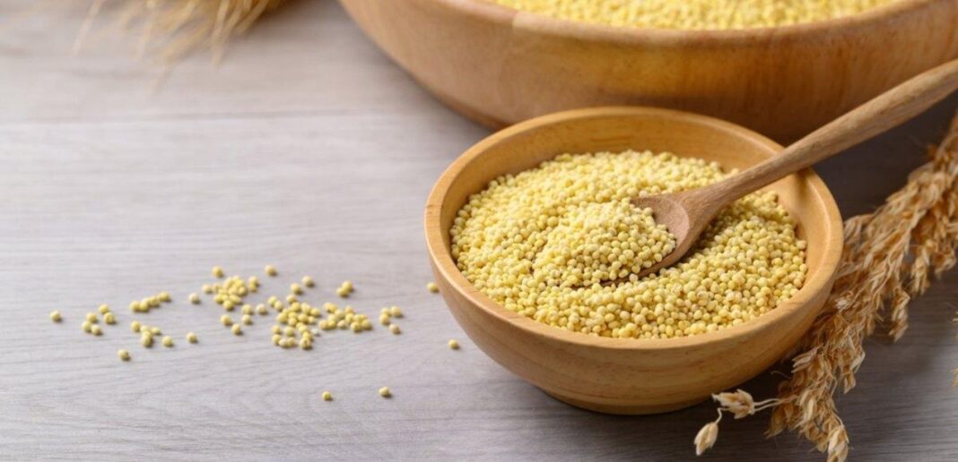Versatilità e stile di vita sostenibile Miglio: un cereale versatile per una dieta senza glutine