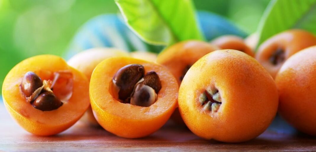 Come consumarle al meglio Nespole: proprietà, benefici, valori nutrizionali