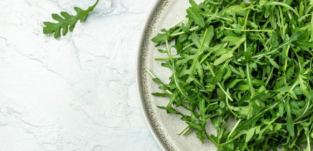 Rucola cotta Rucola: proprietà, benefici e controindicazioni