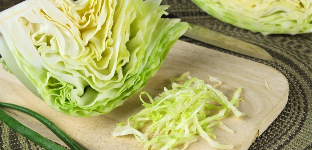 La verza nella dieta: cosa fa bene? Scopri la verza: benefici, ricette e curiosità
