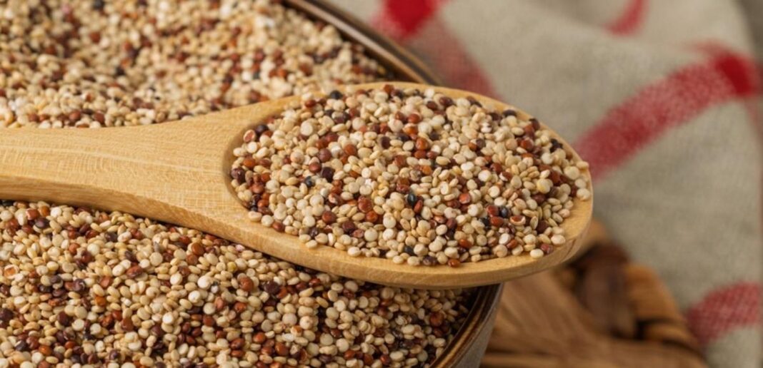 Consumo di quinoa in diversi regimi dietetici Tutti i benefici della quinoa