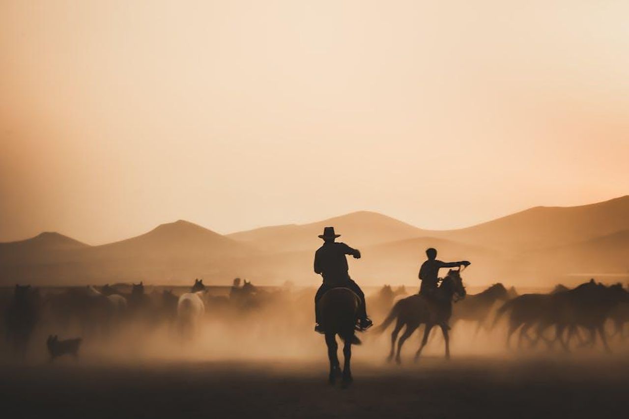 Source: Zeynep Seçer - pexels - Silhouetted cowboys herding horses across a dusty landscape during a stunning sunset.